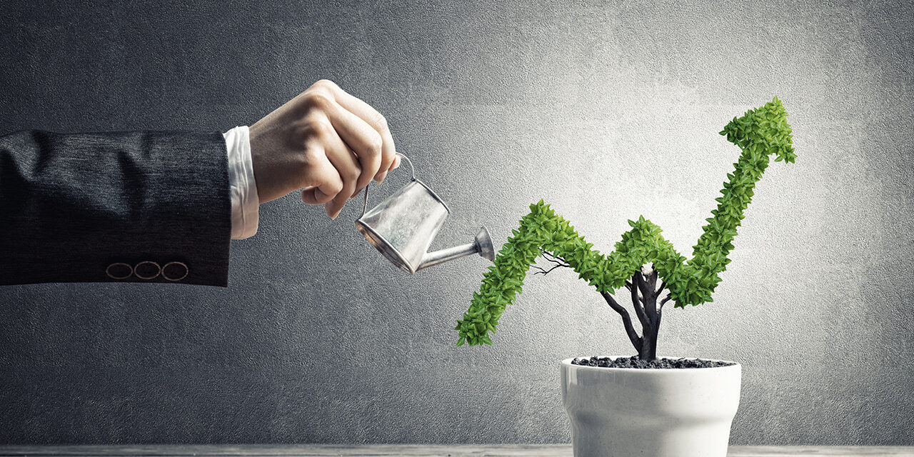 Concept of investment income and growth with tree in pot