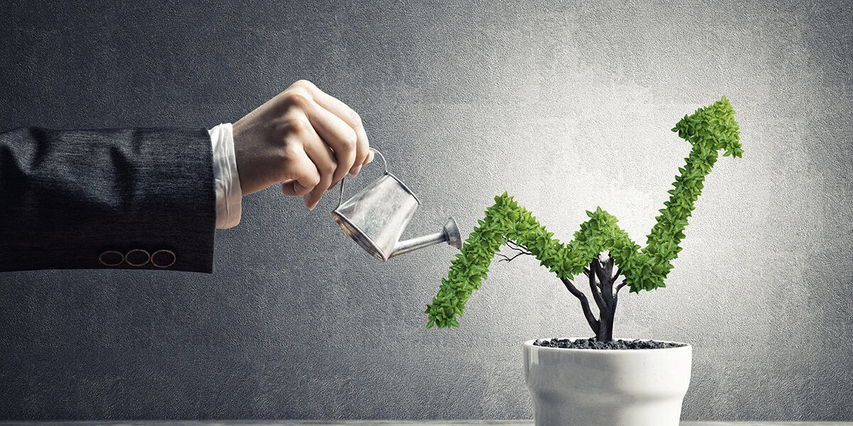 Concept of investment income and growth with tree in pot