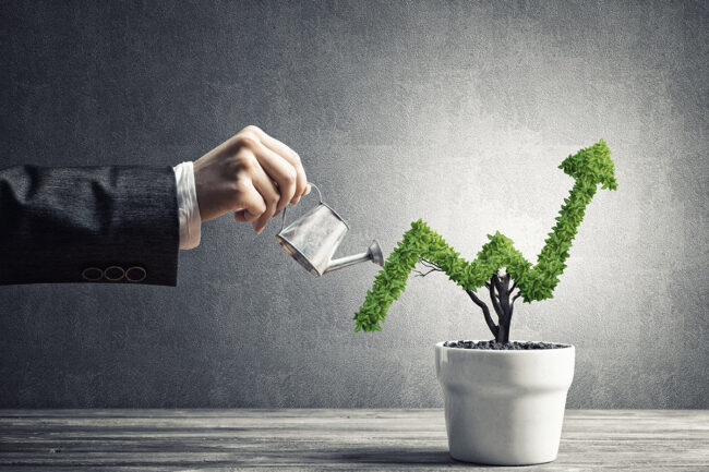 Concept of investment income and growth with tree in pot