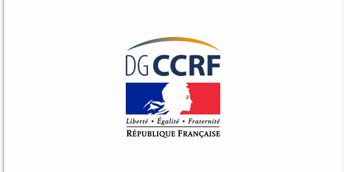 dgccrf Professionnels de l'immobilier fraude