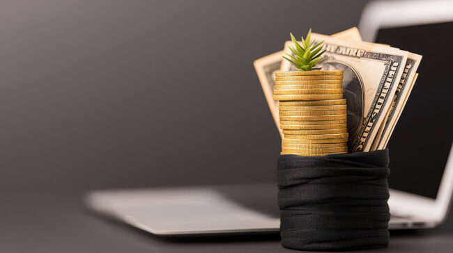 Maximizing online income with professional photography in a mode